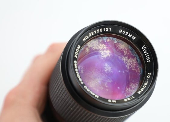 Camera lens fungus - A guide image