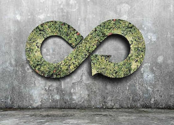 Our journey towards sustainability - Part Two image