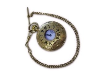 Gold Plated Watches