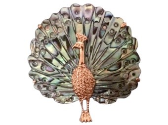 Abalone Shell