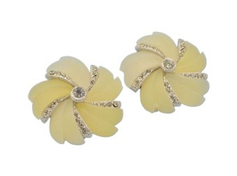 Lucite Jewellery Earrings