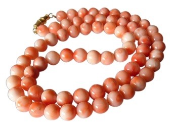 Coral