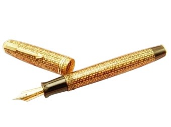 Parker Tiger Web Pen