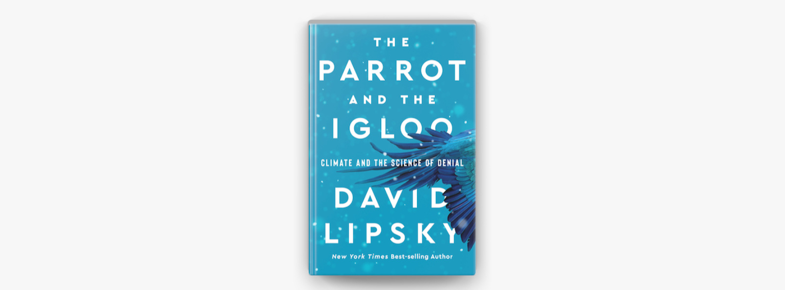 the-parrot-and-the-igloo-david-lipsky