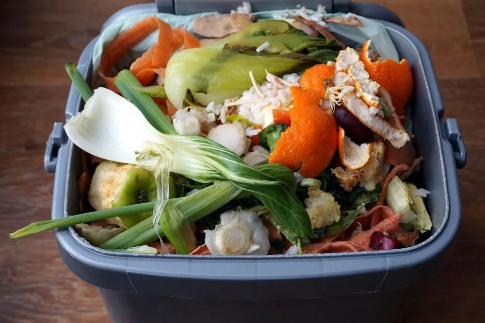 Food waste container