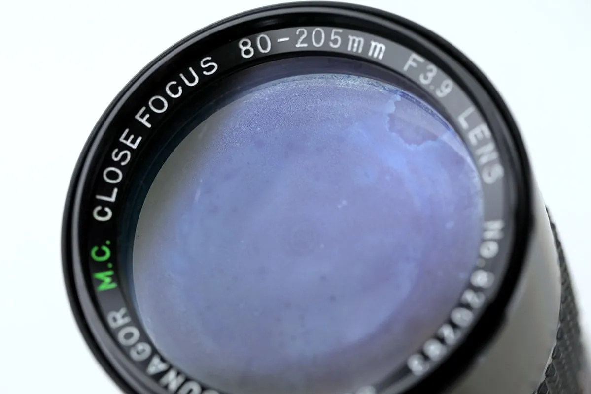 Camera lens with fungus bloom
