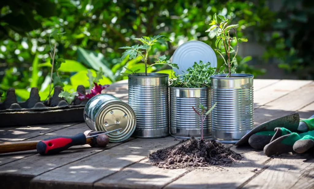 upcycled food cans and tins to flower and plantpots